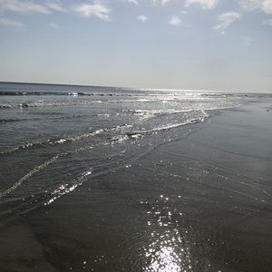 Meet your Posher, Shelby